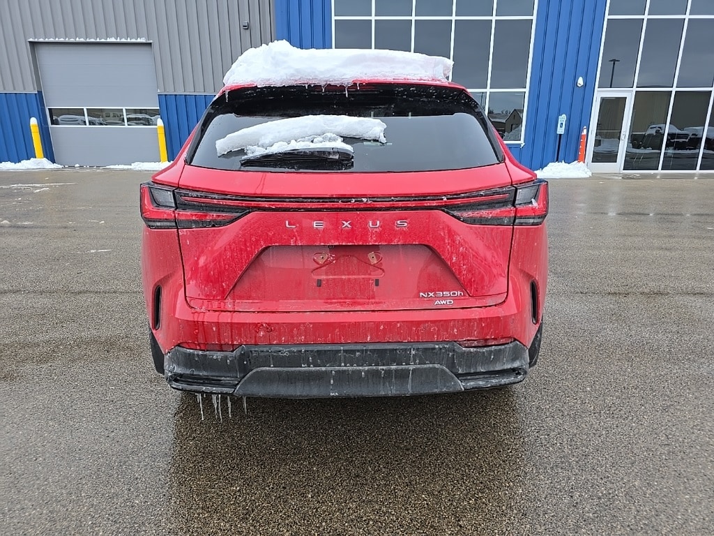 Used 2025 Lexus NX 350h Luxury AWD SUV