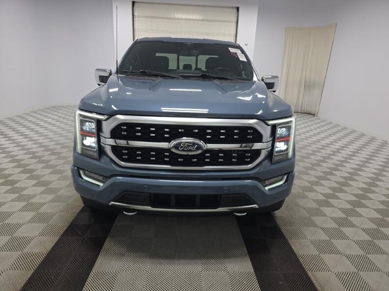 2023 Ford F-150 Platinum photo 2