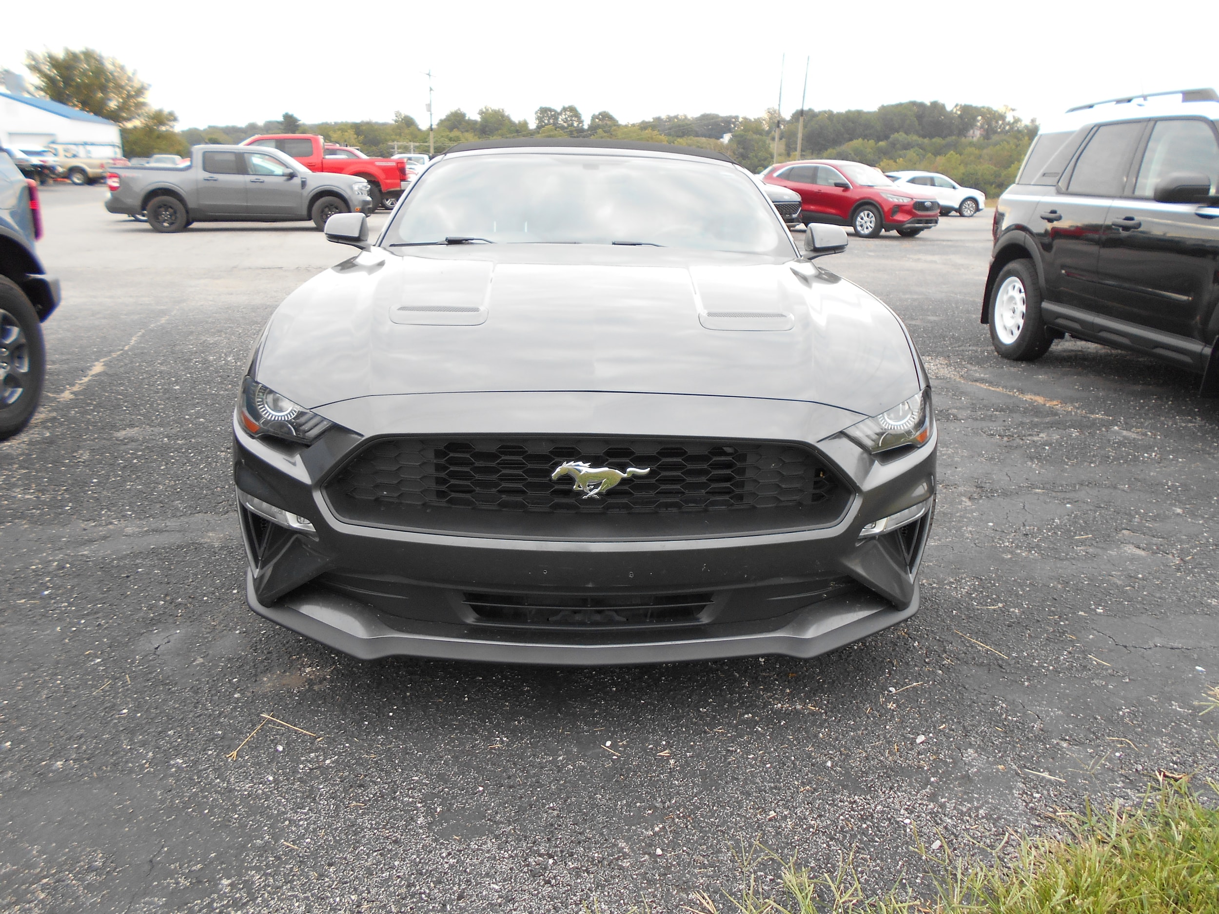 Used 2020 Ford Mustang EcoBoost Premium with VIN 1FATP8UHXL5143249 for sale in Cassville, MO