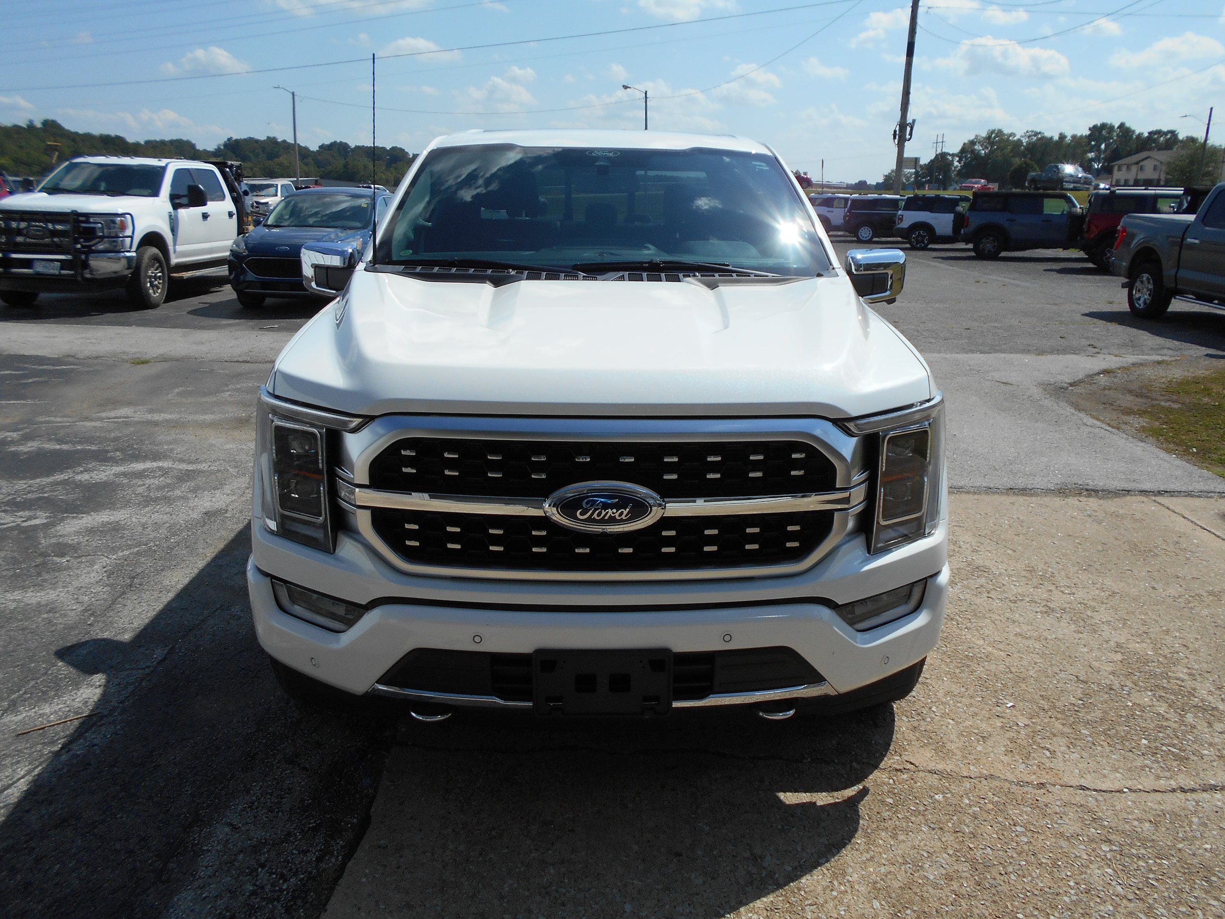 Used 2022 Ford F-150 Platinum with VIN 1FTFW1E51NFA24041 for sale in Cassville, MO