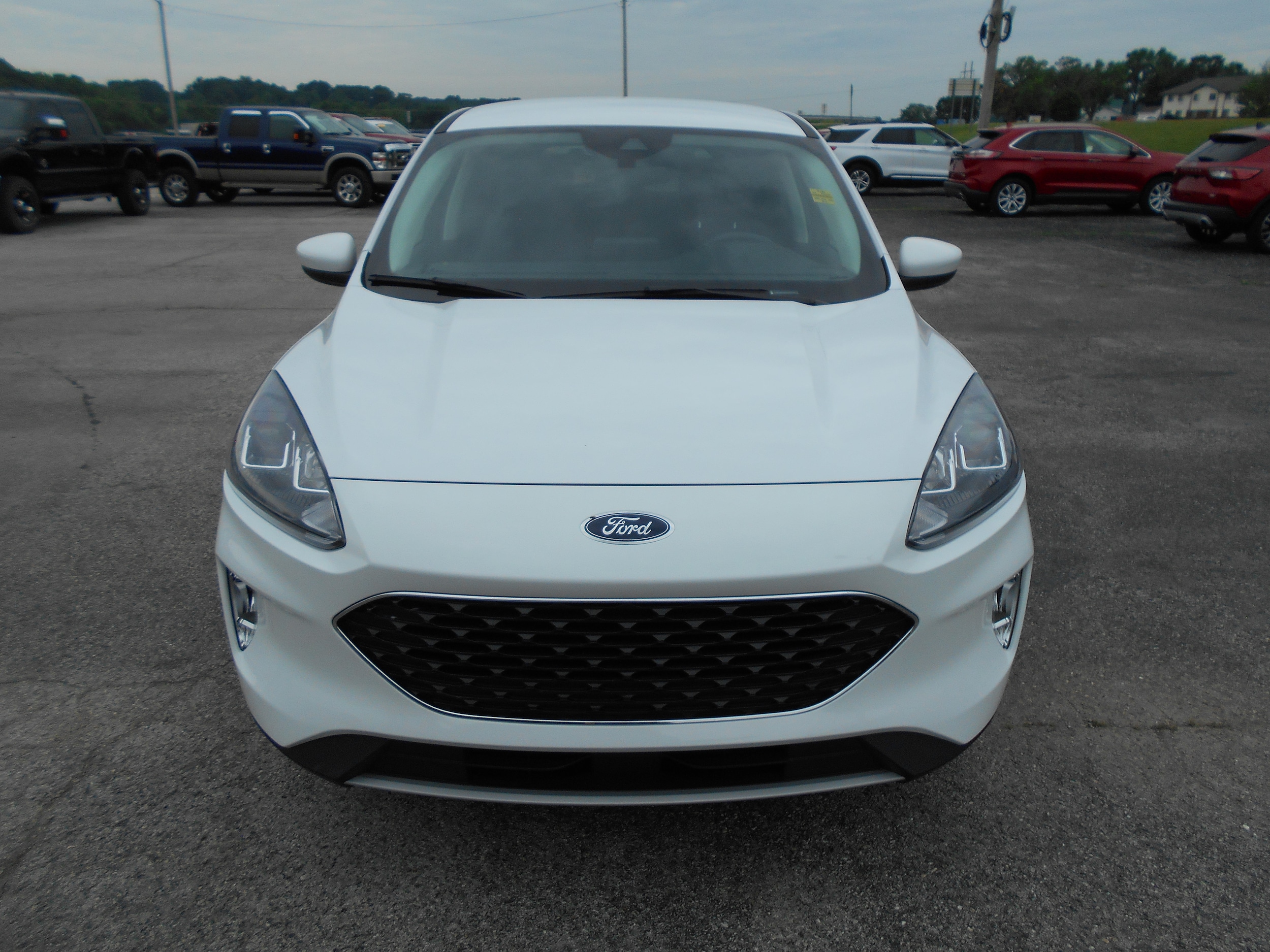 Used 2022 Ford Escape SEL with VIN 1FMCU9H60NUA59186 for sale in Cassville, MO