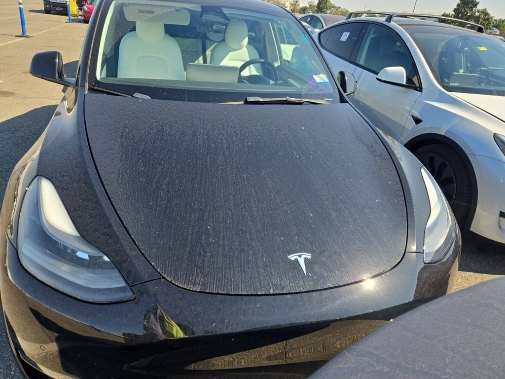 Used 2022 Tesla Model Y Performance with VIN 7SAYGDEFXNF538929 for sale in Northfield, Minnesota