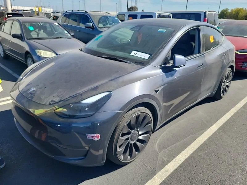 2023 Tesla Model Y