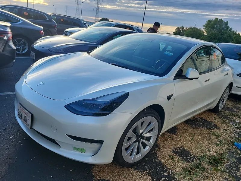 2023 Tesla Model 3 Long Range's photo