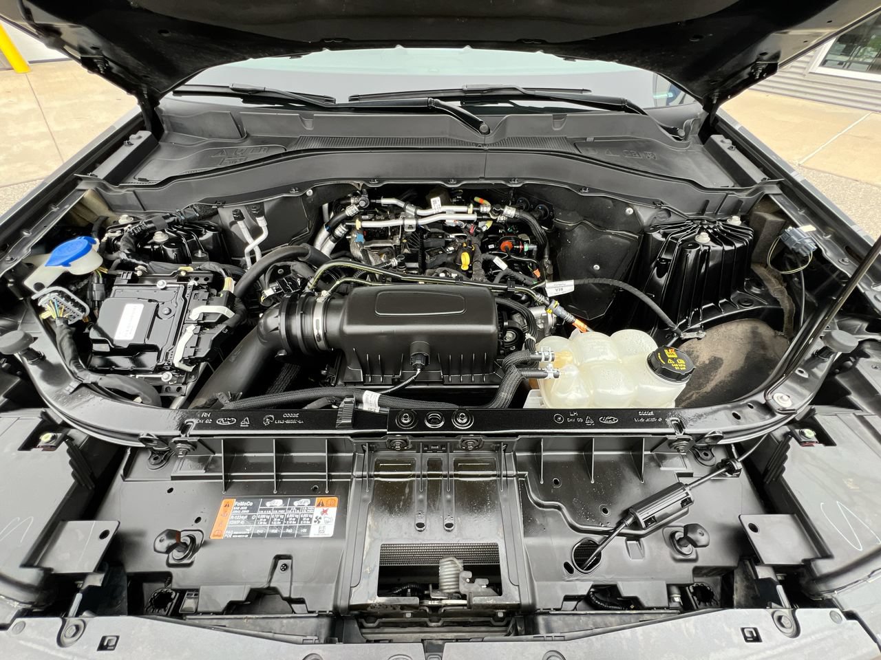 Photo 11