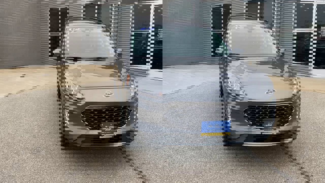 2022 Ford Escape SEL photo 4