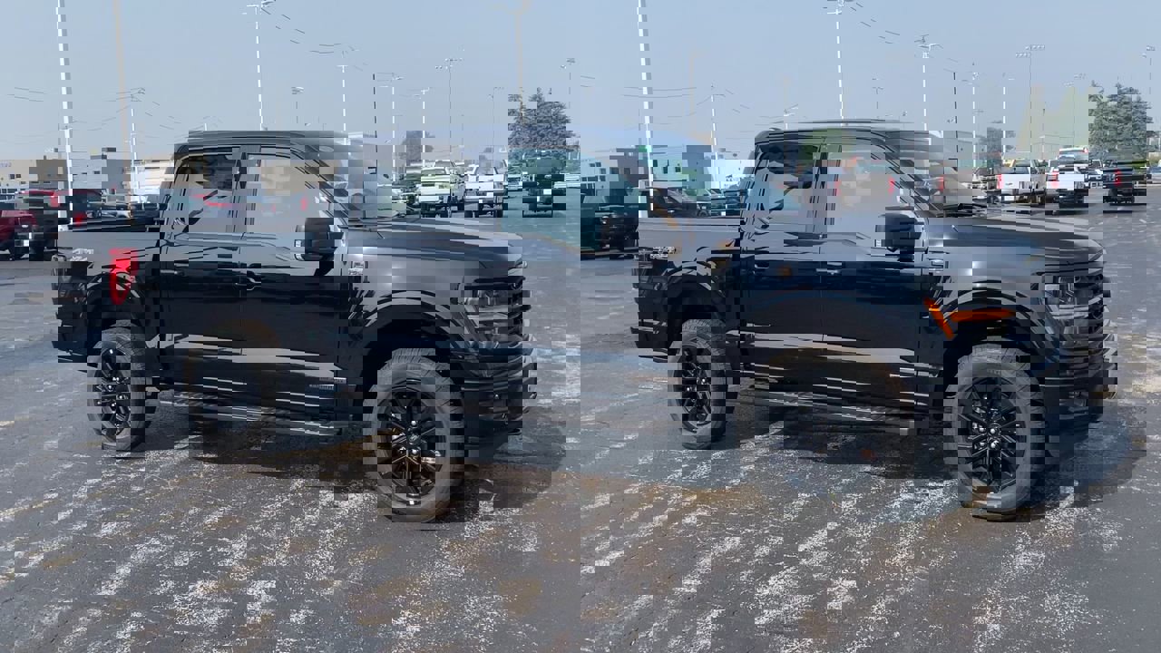 2025 Ford F-150 XLT photo 3