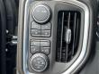 2020 Chevrolet Silverado 1500 LT Trail Boss 4WD Crew Cab 147 4WD Crew Cab 147