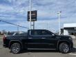 2024 GMC Sierra 1500 Denali 4WD Crew Cab 147 4WD Crew Cab 147