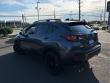 2024 Subaru Crosstrek Wilderness AWD