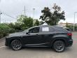 2020 LEXUS RX 350 F Sport AWD