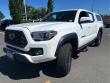 2023 Toyota Tacoma TRD Off Road Double Cab 5 Bed V6 MT (Natl) Double Cab 5 Bed V6 MT (Natl)