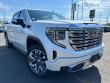 2023 GMC Sierra 1500 Denali 4WD Crew Cab 147 4WD Crew Cab 147