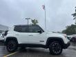 2023 Jeep Renegade Trailhawk SUV