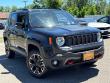 2023 Jeep Renegade Trailhawk SUV