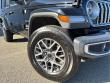 2024 Jeep Wrangler Sahara SUV