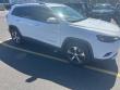 2019 Jeep Cherokee Limited 4x4 SUV