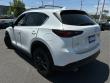 2025 Mazda CX-5 2.5 Carbon Turbo SUV