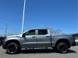 2020 Chevrolet Silverado 1500 LT Trail Boss Truck Crew Cab