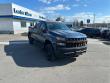 2020 Chevrolet Silverado 1500 Silverado Custom Trail Boss Truck Crew Cab