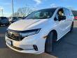 2023 Honda Odyssey Sport Van