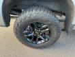 2024 Chevrolet Silverado 1500 LT Trail Boss Truck Crew Cab