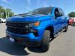 2023 Chevrolet Silverado 1500 Custom Trail Boss Truck Crew Cab