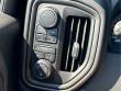 2023 Chevrolet Silverado 1500 Custom Trail Boss Truck Crew Cab