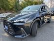 2024 LEXUS NX 250 AWD
