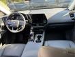 2024 LEXUS NX 250 AWD
