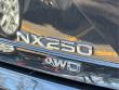 2024 LEXUS NX 250 AWD