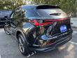 2024 LEXUS NX 250 AWD