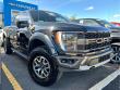 2022 Ford F-150 Raptor 4WD Supercrew 5.5 Box 4WD SuperCrew 5.5 Box