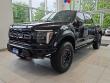 2024 Ford F-150 Raptor 4WD Supercrew 5.5 Box 4WD SuperCrew 5.5 Box