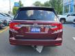 2020 Honda Odyssey EX-L w/Navi/RES Auto