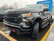 2022 Chevrolet Silverado 1500 Custom Trail Boss 4WD Crew Cab 147 4WD Crew Cab 147