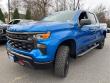 2023 Chevrolet Silverado 1500 Custom Trail Boss 4WD Crew Cab 147 4WD Crew Cab 147