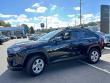 2020 Toyota RAV4 XLE AWD (Natl)