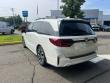 2026 Honda Odyssey Elite Minivan