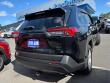 2020 Toyota RAV4 XLE AWD (Natl)