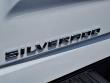 2024 Chevrolet Silverado 1500 LT (2FL) Truck