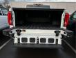 2020 GMC Sierra 1500 Denali 4WD Crew Cab 147 Truck Crew Cab
