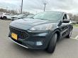 2022 Ford Escape SE SUV