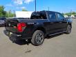 2024 Ford F-150 STX 4WD Supercrew 5.5 Box Truck SuperCrew Cab