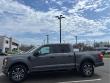 2023 Ford F-150 XL 4WD Supercrew 5.5 Box Truck SuperCrew Cab