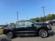 2022 Ford F-150 XLT 4WD Supercrew 5.5 Box Truck SuperCrew Cab