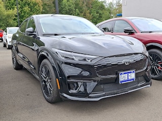 2025 Ford Mustang Mach-E Premium AWD
