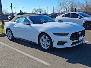 2026 Ford Mustang Ecoboost Convertible