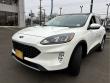 2022 Ford Escape SEL AWD