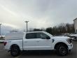 2023 Ford F-150 XLT 4WD Supercrew 5.5 Box 4WD SuperCrew 5.5 Box